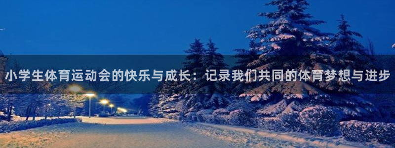 小学生体育运动会的快乐与成长：记录我们共同的体育梦想与进步