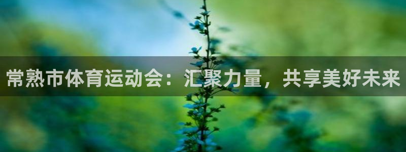 常熟市体育运动会：汇聚力量，共享美好未来