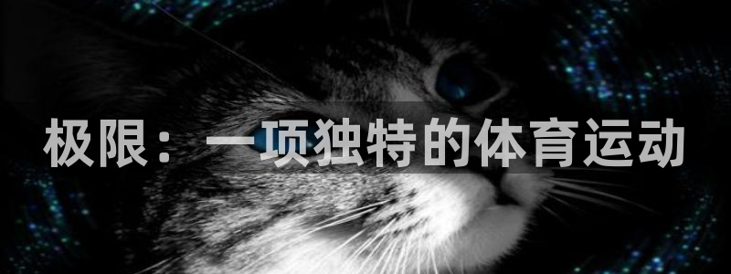 极限：一项独特的体育运动