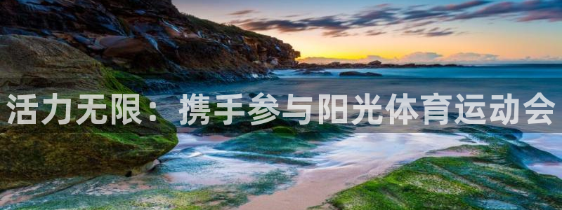 活力无限：携手参与阳光体育运动会
