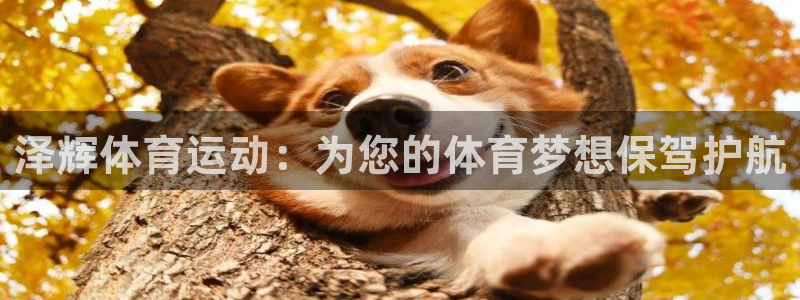 泽辉体育运动：为您的体育梦想保驾护航