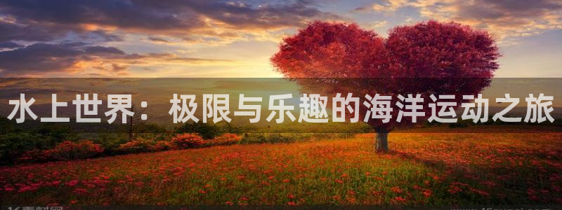 水上世界：极限与乐趣的海洋运动之旅