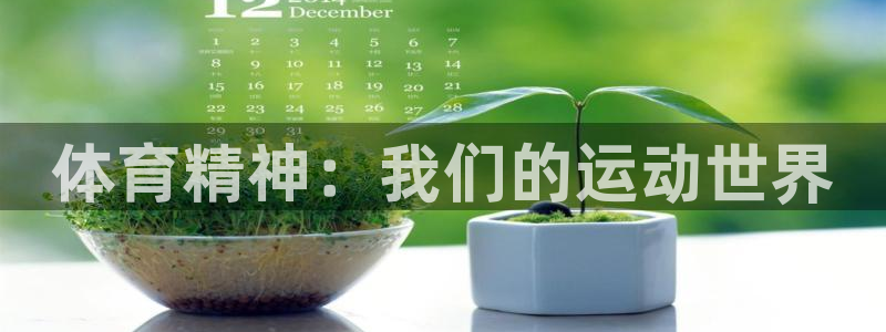 体育精神：我们的运动世界