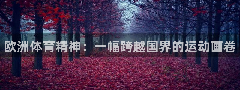 欧洲体育精神：一幅跨越国界的运动画卷